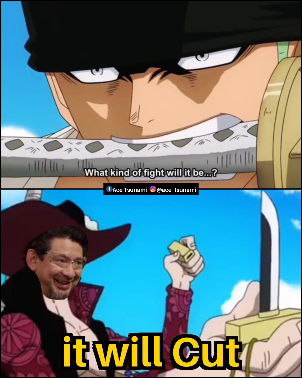 Two Piece : r/MemePiece