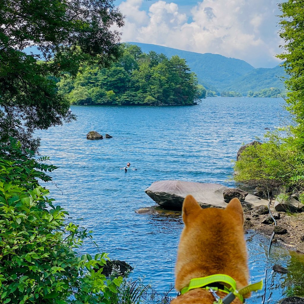 ミミズ腫れ Twitter Search