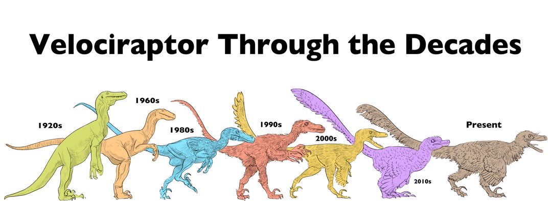 HarryStoltz1's tweet photo. Here’s how our perception of what velociraptors looked like has changed over the decades
(Credit: @jimmadseni) https://t.co/6o8UcRJW6I