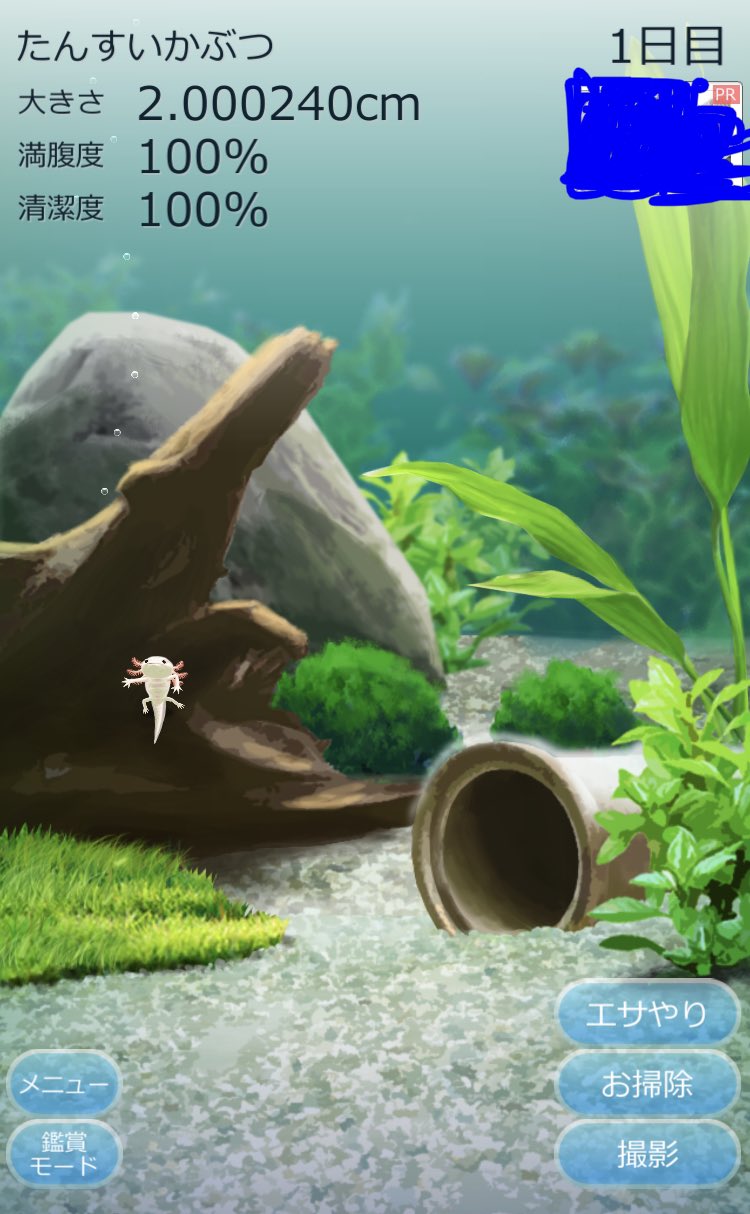 Shashushengshan Games Shashushen626 Twitter