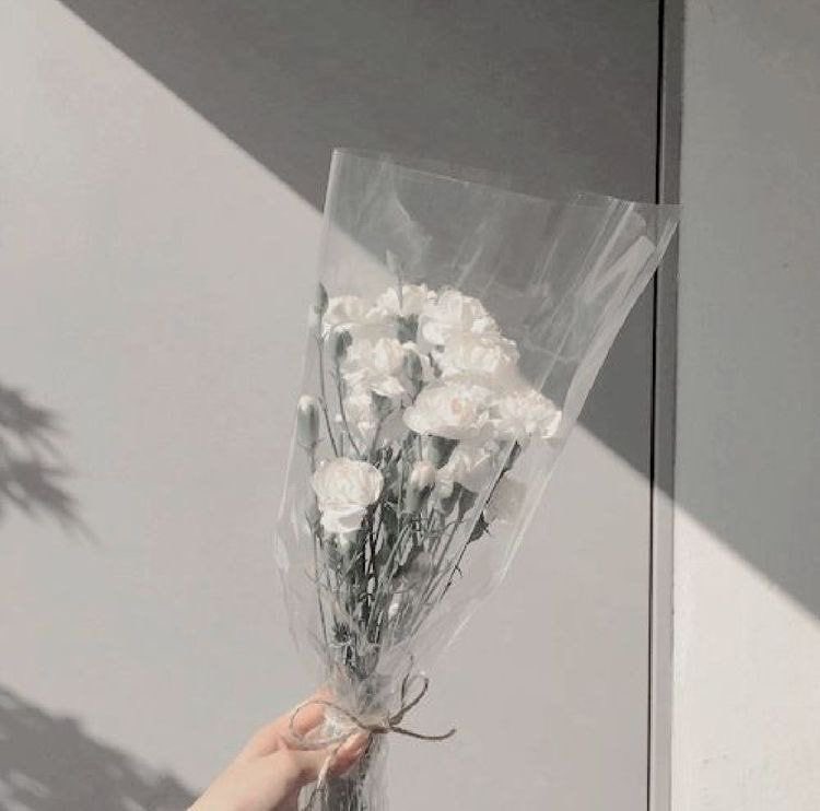 August wish * 🤍🤏🏻