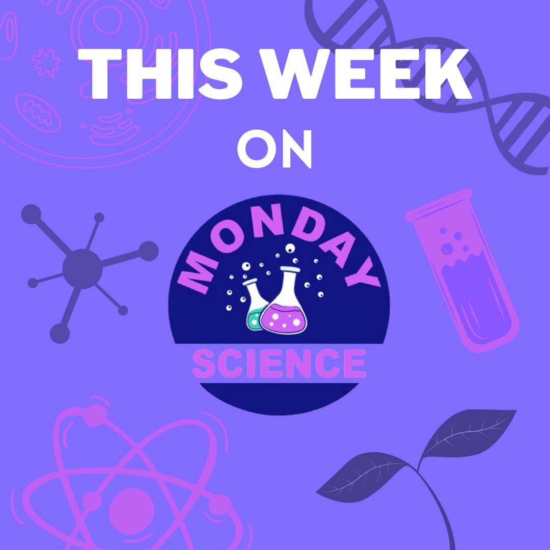 MondayScience_'s tweet photo. THIS WEEK ON MONDAY SCIENCE 🥽

Episode 82 - How does COVID-19 affect the brain? 🧠 

Listen to Professor Alysson Muotri @_tismoo @BOrganoid tomorrow on the neurological effects of COVID-19 @UofCalifornia
.
.
.

#mondaysciencepodcast #sciencepodcast #covid_19 #dementia #organoids https://t.co/E1B9gifBNM