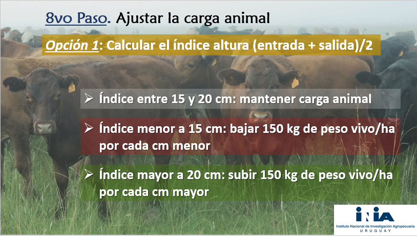 Martin Jaurena on Twitter: Martin Jaurena on Twitter: