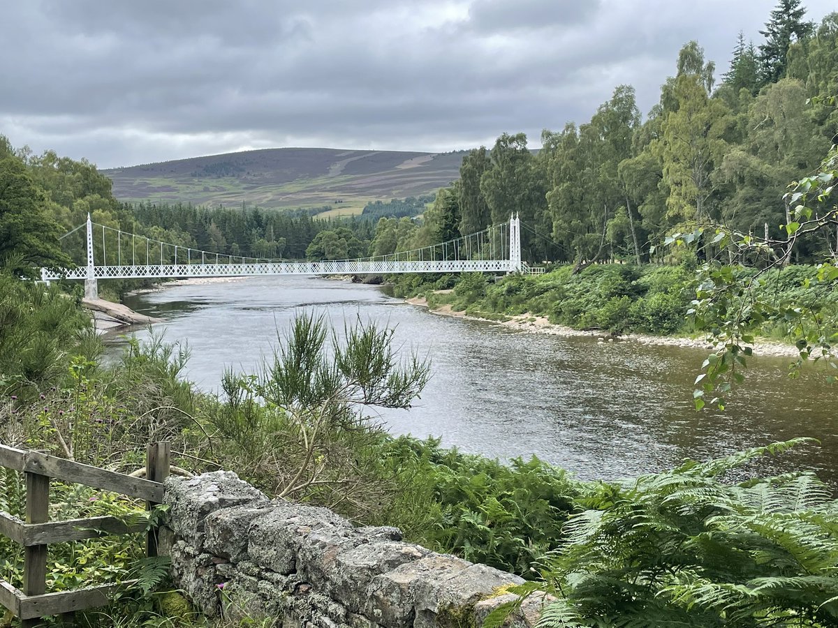 rfantauzzo's tweet photo. Much needed stretch of the legs this morning after two days sat in the car. Ten miles of the #deesideway which as I was going in the direction of the river was predominantly down hill fortunately ๐โโ๏ธ https://t.co/YJWp0NkNab
