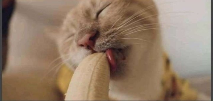coochish's tweet photo. I wanna do this to someone's son today 💦💦 https://t.co/bKFPBVCLzZ