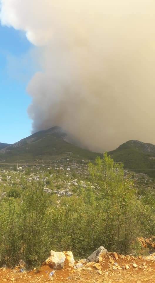 Alevler Gündoğmuş Umutlu köyüne çok yaklaştı havadan ve karadan destek lazım.
Paylaşın lütfen.
#gündoğmuşyanıyor
#ManavgatYanıyor 
#Didimyanıyor 
#BODRUMYANGIN
#ankarayanıyor 
#aydıncıkyanıyor 
#ADANAYANIYOR 
#aksekiyanıyor 
#ALANYAYANIYOR