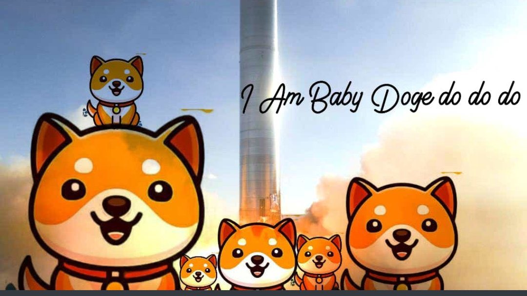 ifutureinfinity's tweet photo. @babydoge @elonmusk Babydoge🚀🚀🚀 https://t.co/4AP6dP0UYK