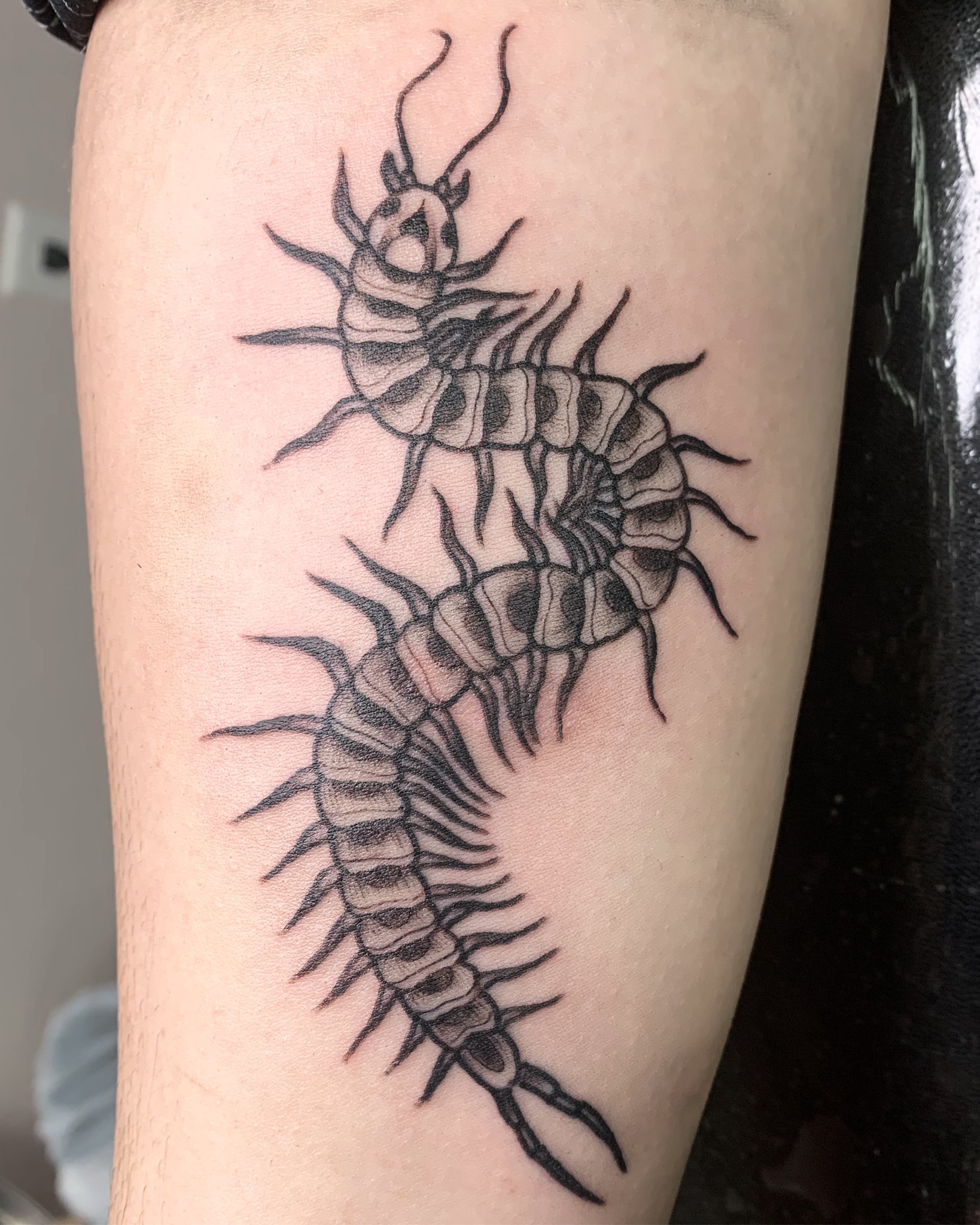 Skull centipede by me Olivia Hartranft Boston Street Tattoo  rtattoo