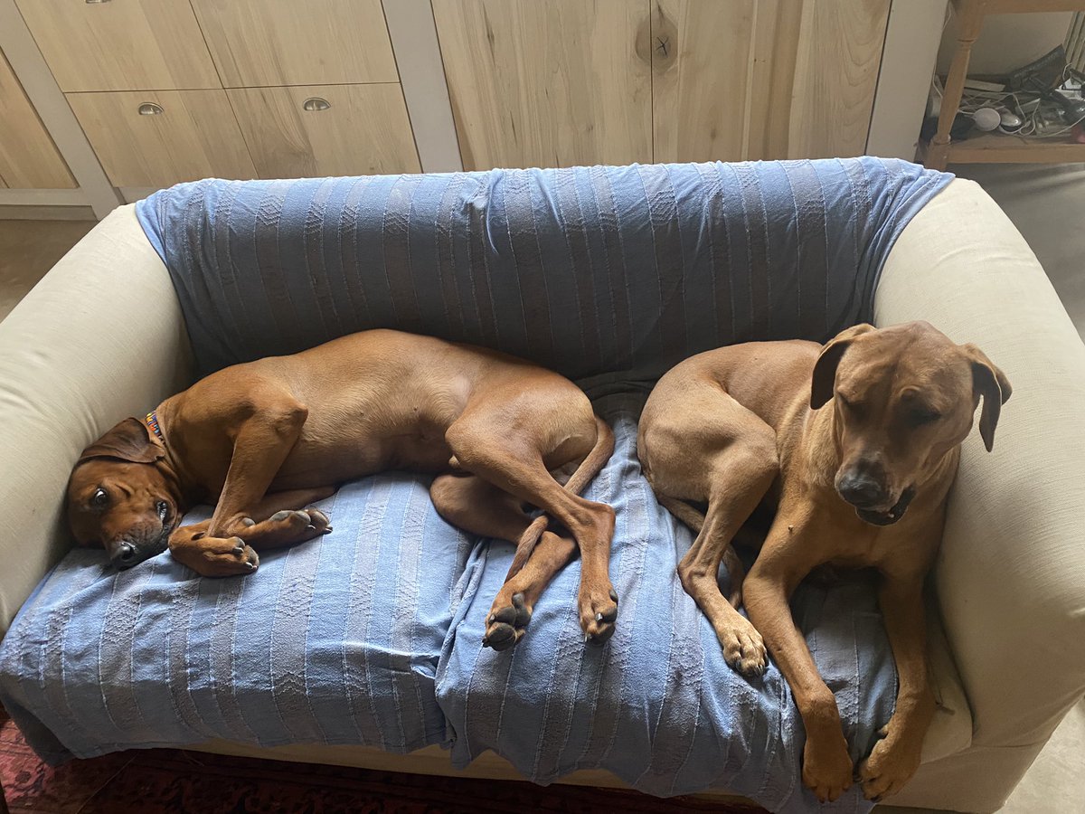 Rob Armstrong tweet media