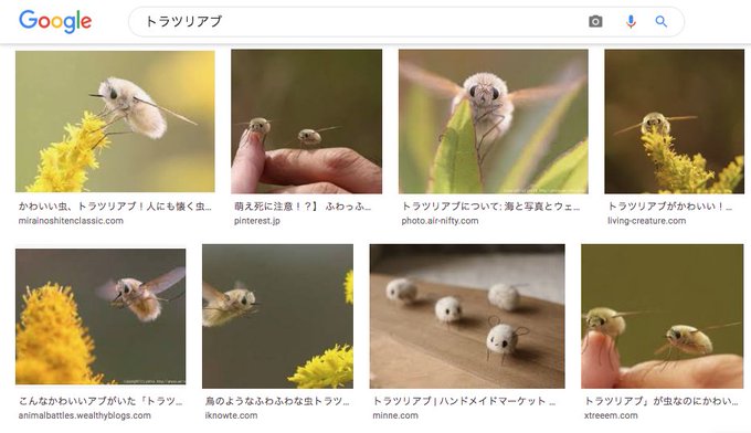 A List Of Tweets Between ﾁｯﾁﾁ 腐成人向 And 21 Year 8 Month 1 Day 1 Whotwi Graphical Twitter Analysis