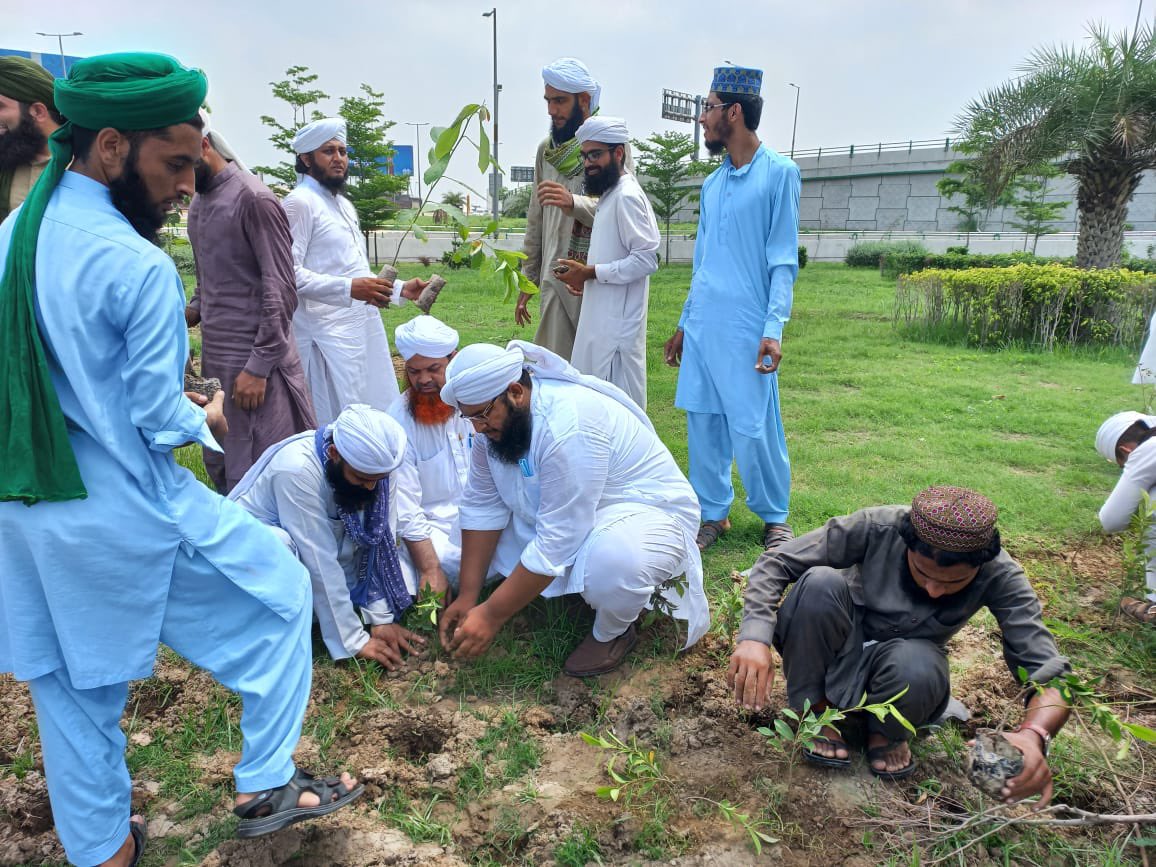 FGRForg's tweet photo. Gujranwala, Pakistan Today #FGRF #EcosystemRestoration
@ClimateChangePK #پودا_لگاناہے_درخت_بناناہے 
@PakPMO
@UNDP_Pakistan
@UNEP
@Plant4pak https://t.co/DC0IN2woZh
