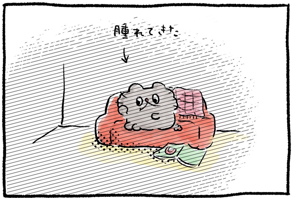 おやしらず🦷
#ねこのぶーちゃん4コマ 