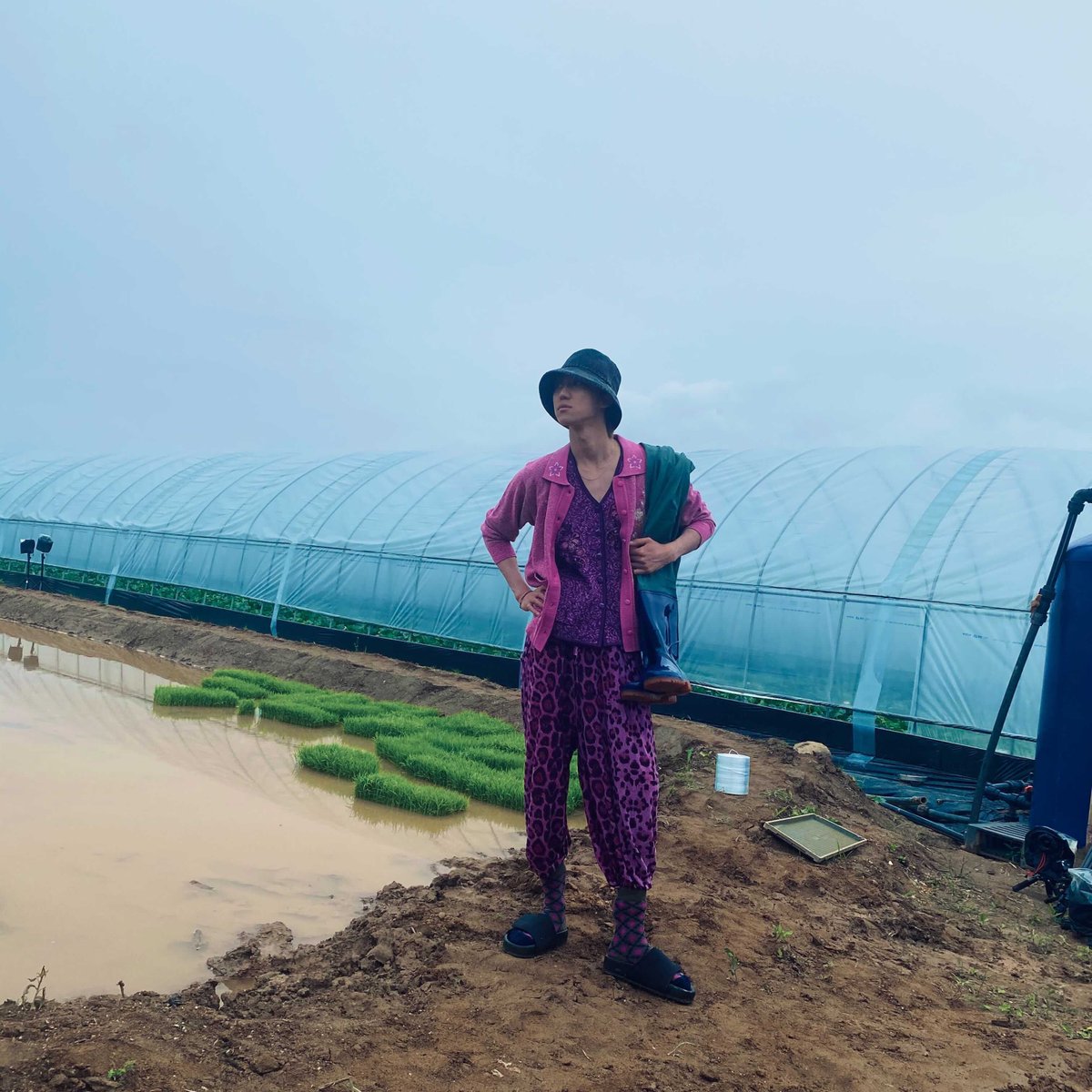 svtd8's tweet photo. Ever seen a purple leopard? GOING SEVENTEEN recently saw one planting rice paddies. He was chic, I tell you. https://t.co/7pU7pjotdU