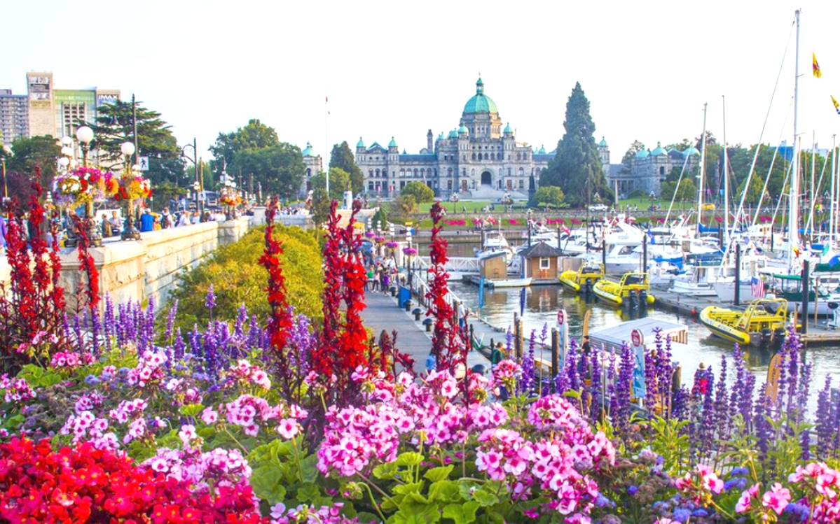 Shizu カナダ ブリティッシュコロンビア州 グレーターヴィクトリア Greater Victoria British Columbia Canada Photo By Victoriavisitor Shizu カナダ ブリティッシュコロンビア州 グレーターヴィクトリア Greater Victoria British Columbia Canada Photo By Victoriavisitor