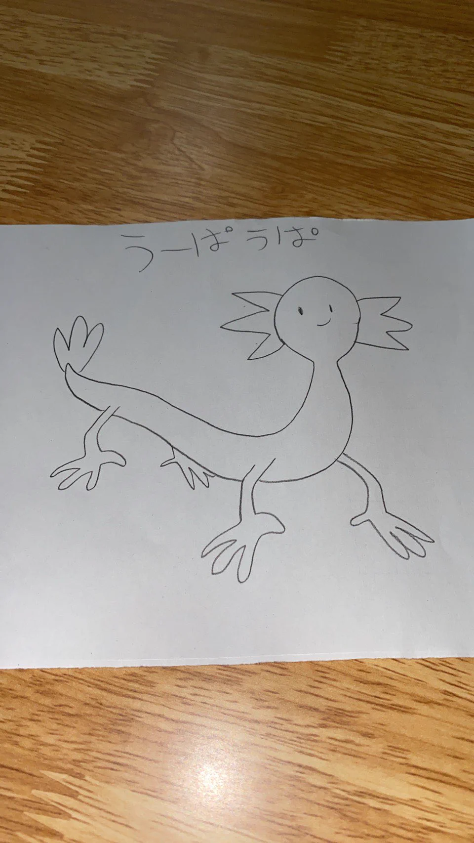 @Axolotl2013 わたしのＴシャツを見て描いてくれました。これこそ100年生きるヤツ🤣 