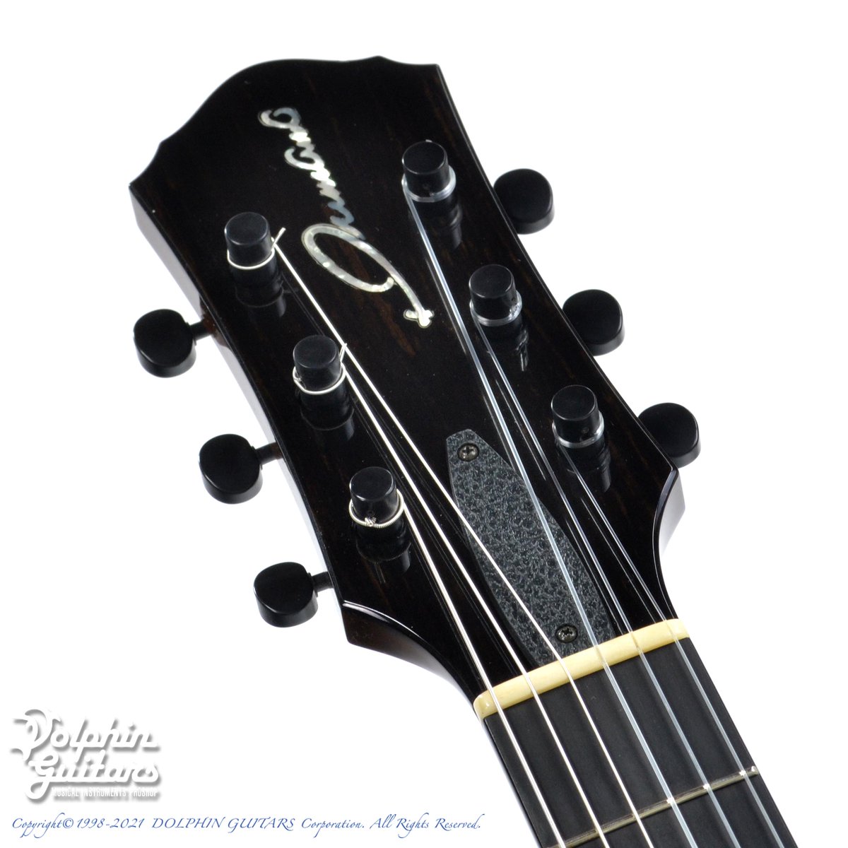 ドルフィンギターズ on X