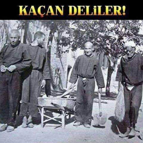 1- pazar okuması.😀
Tüm  Elazığlı dostlarımdan affına sığınarak bu güzel anektod' u yayınlıyorum. 🙏
Olay gerçektir. Elazığ’da geçer. 

1960’lı yıllar! Elazığ akıl hastanesinden personelin bir ihmali sonucu bütün deliler kaçar, Elazığ’ın cadde ve sokaklarına dağılırlar.++