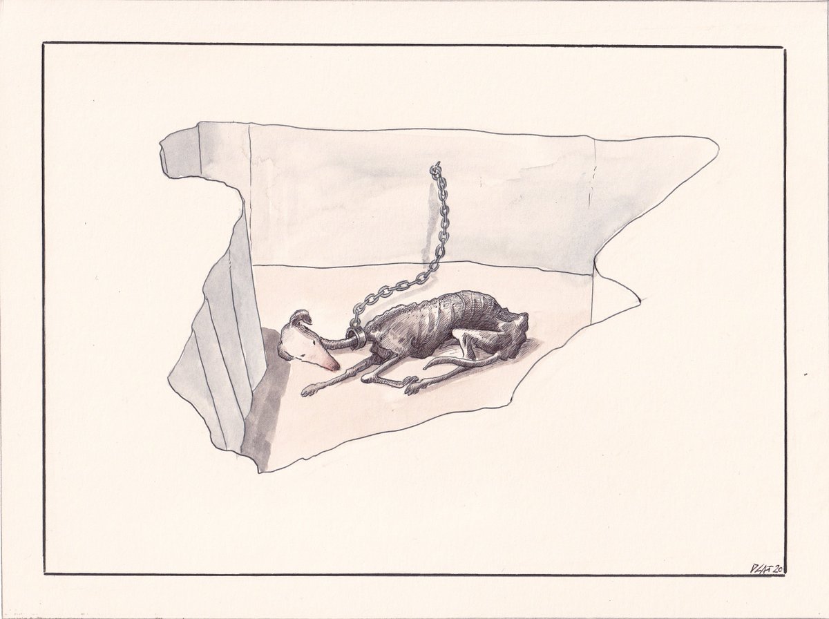 pacocatt's tweet photo. Mi viñeta de hoy domingo 1 de agosto de 2021. 
Nació en España. https://t.co/xNm3t1Z7hP