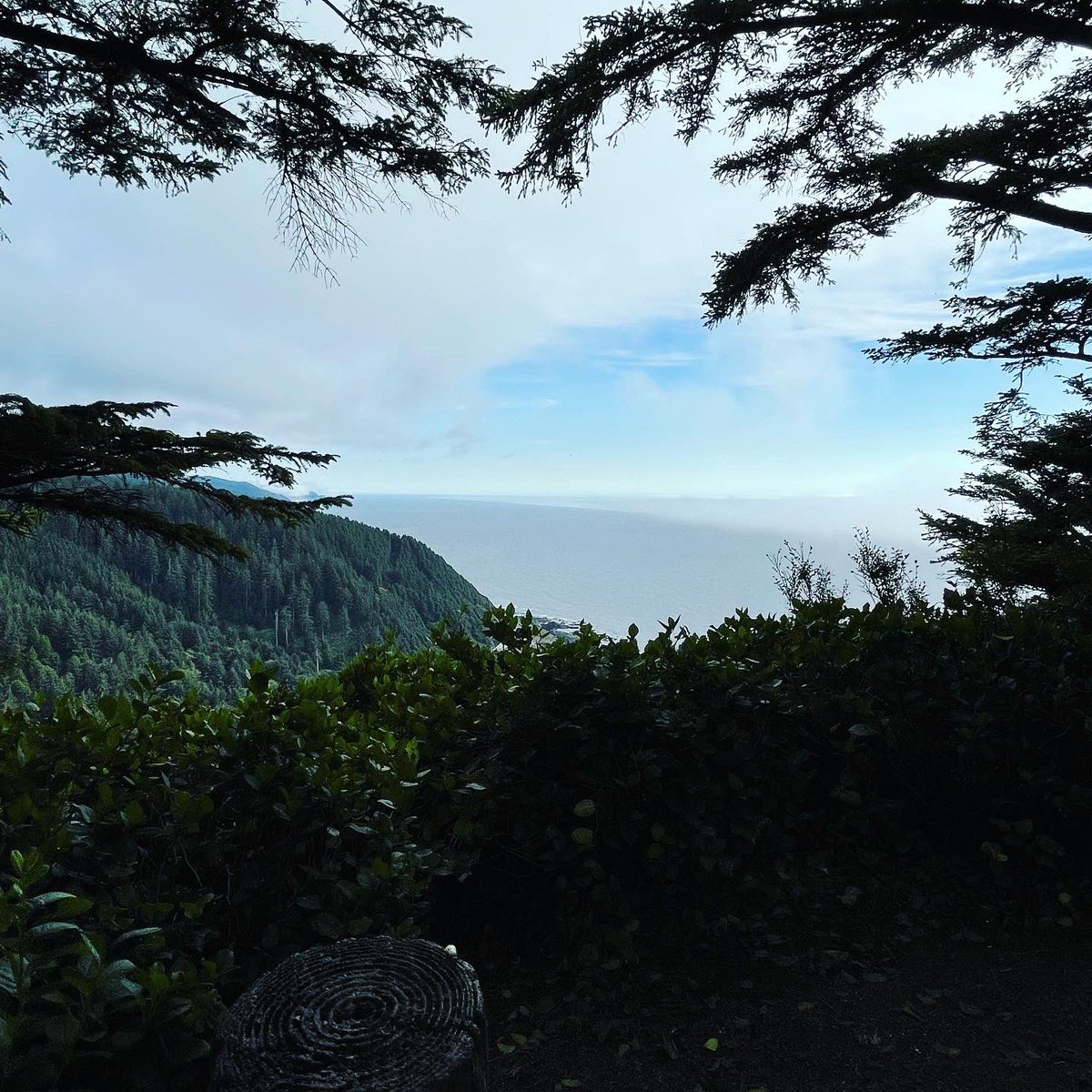 If there was one word that I could describe this place, I would say “poetry”. 
#Pacificocean 
#designbybehin #naturallightphotography #pnw  @HLHOnceUponAFan @PaxPippa @4EverInDNile @LuciferTvFans1 @lisaquac81