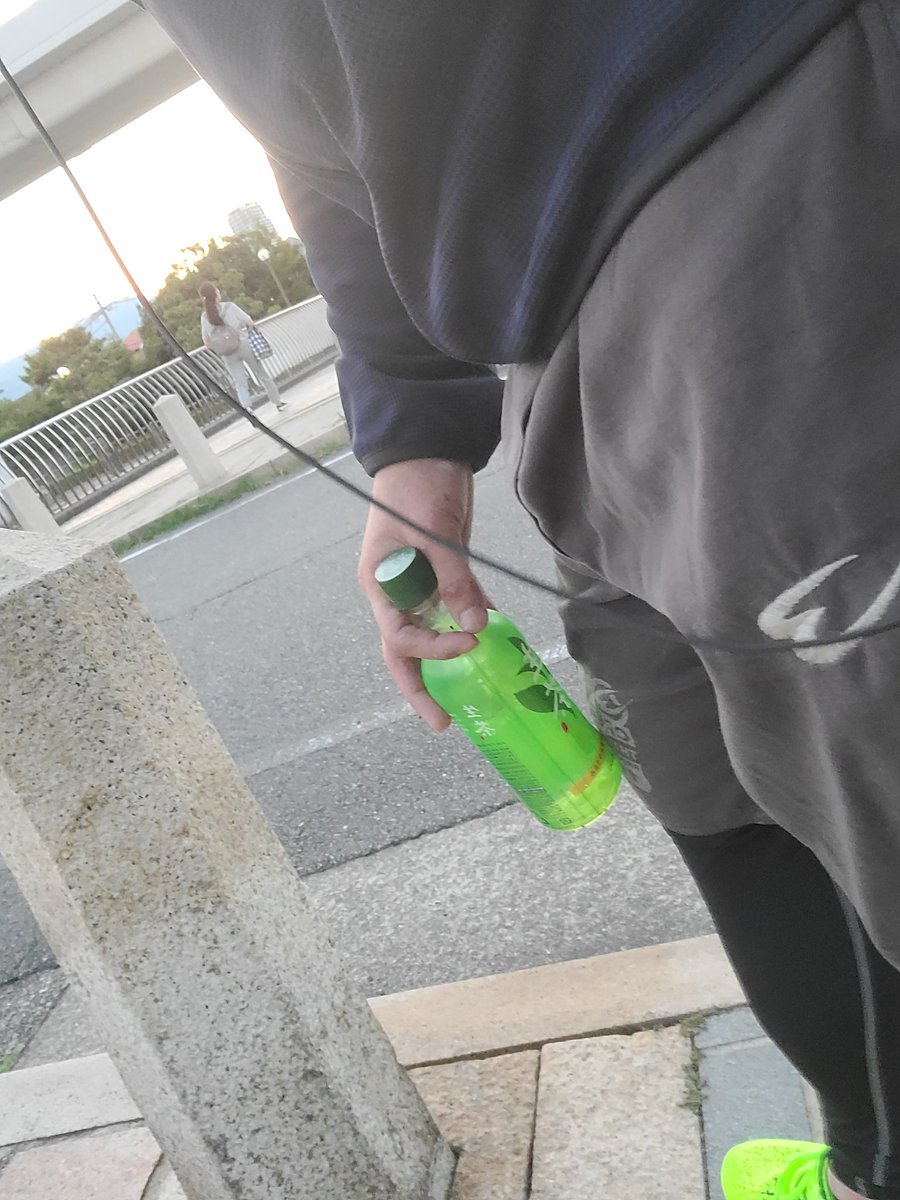 すかんこ@ゲーム実況&DeFi探検家 tweet media