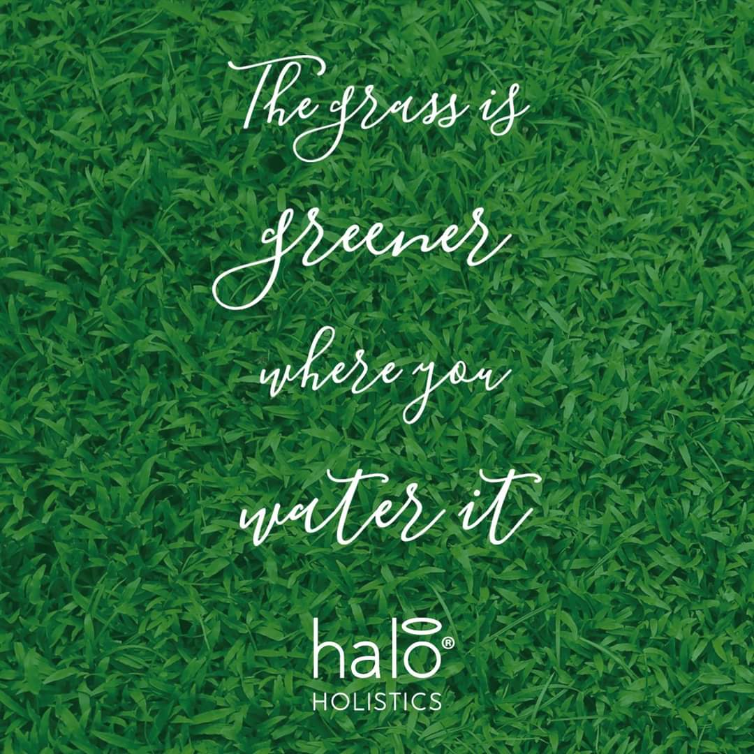 haloholistics's tweet image. Water your life with intention and watch it flourish. It all starts from within 💚

#august #2021 #monthlymantra  #calendar #haloholistics