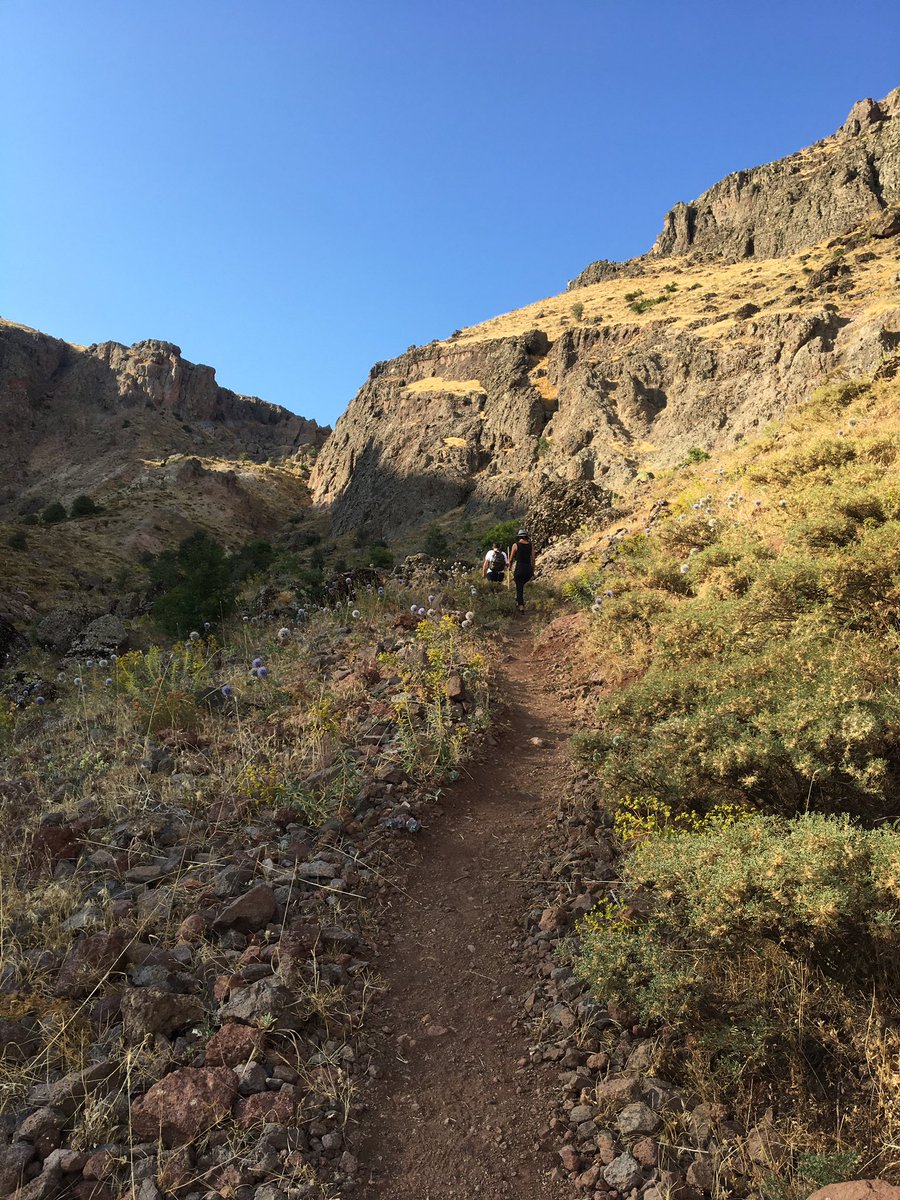 Mazgirt Kert 🍃🍂