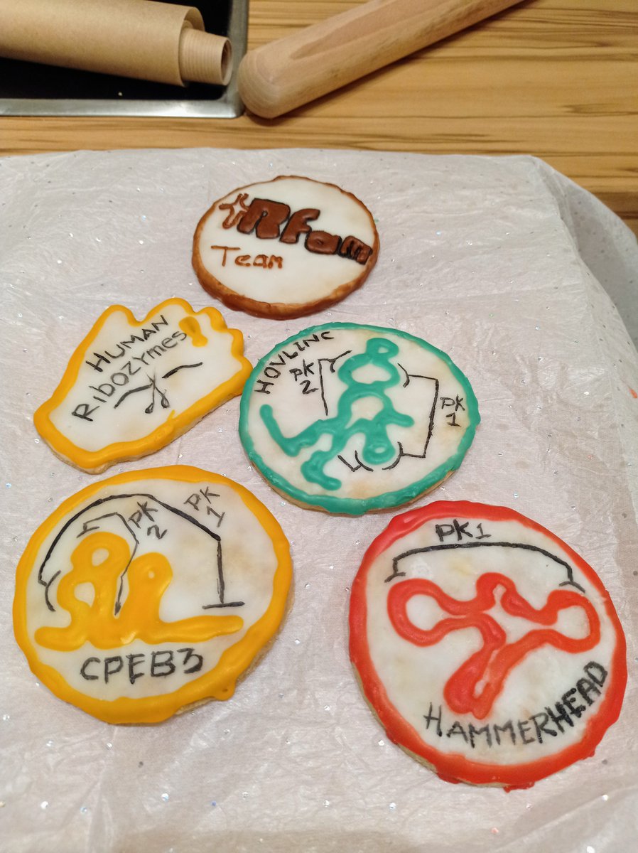 And this is how it ends. With some Human Ribozymes, the structures tries to be as much accurate as they are, but they are limited by the cook's decorative skills 😅. For better references, here is our last release post. xfam.wordpress.com/2021/07/27/rfa…