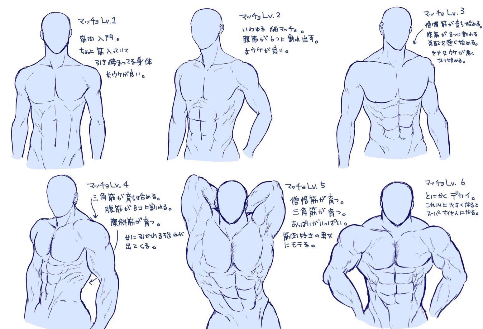 あなたが好きなマッチョレベルは カッコいい筋肉に憧れる 話題の画像プラス あなたが好きなマッチョレベルは カッコいい筋肉に憧れる 話題の画像プラス