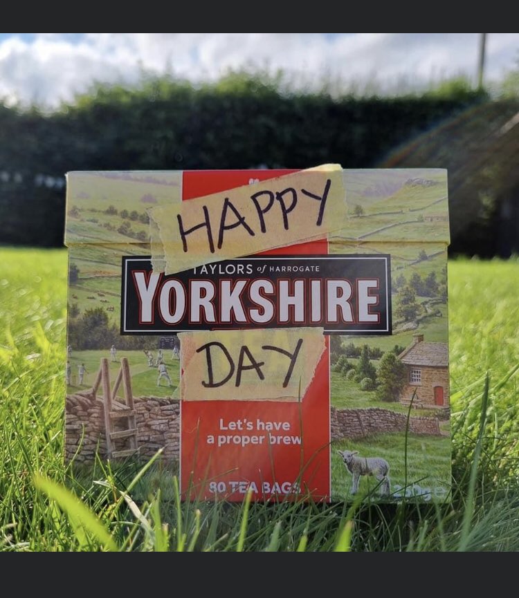 dnash99's tweet image. 