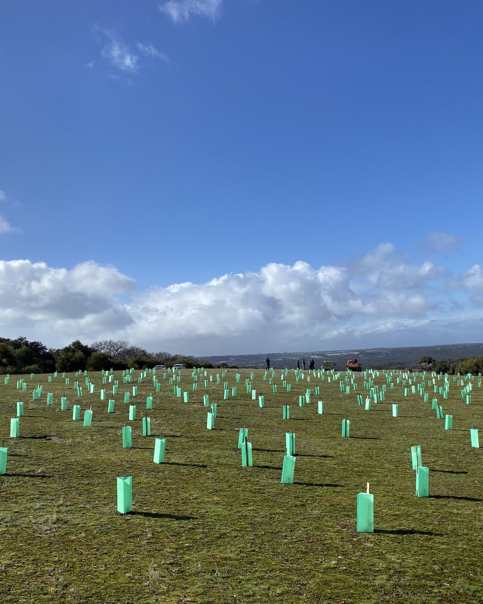 Exceptional Kangaroo Island tweet media