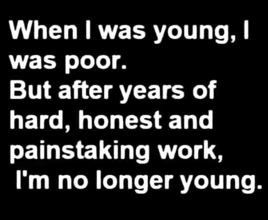 ThegardenerRob's tweet image. 