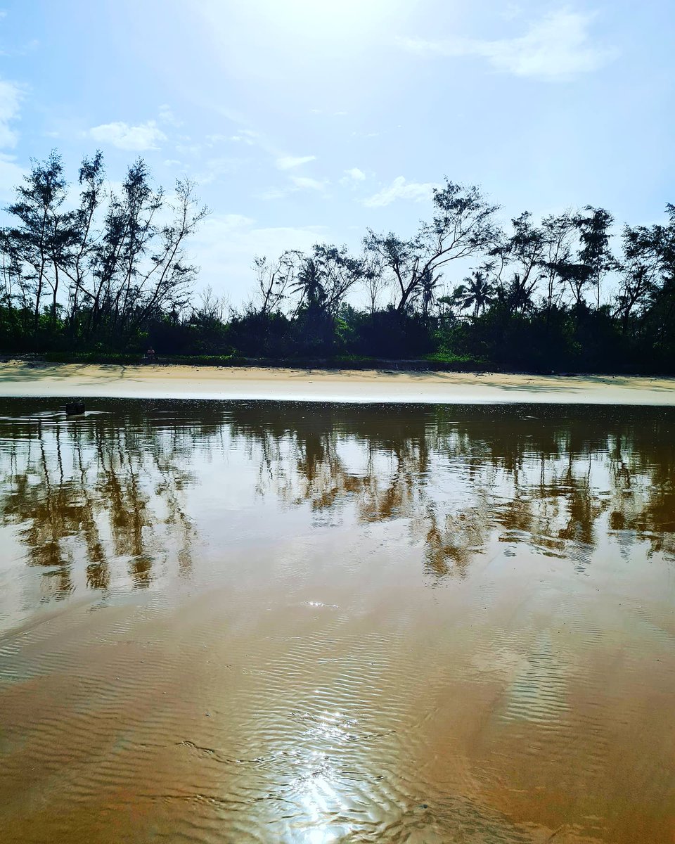 Anita Deshpande tweet media