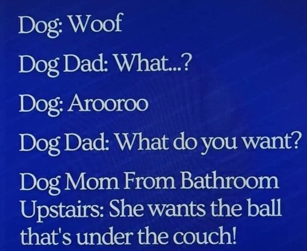 Does someone in your household understand your pets better than others? 🐶

#dogsoftwitter