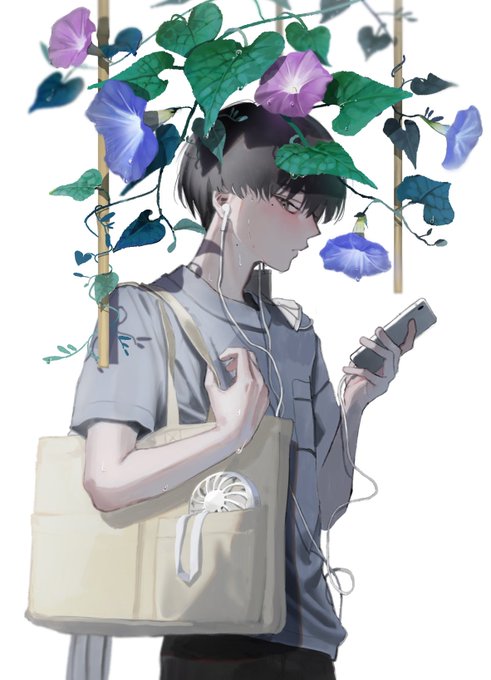 朝顔 