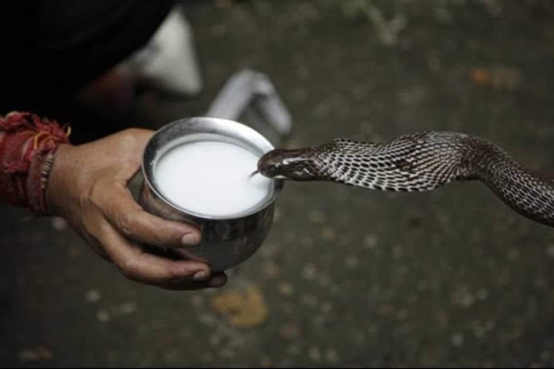दूध पीकर भी काट लेने वाले मित्रों को भी मित्रता दिवस की बधाई।