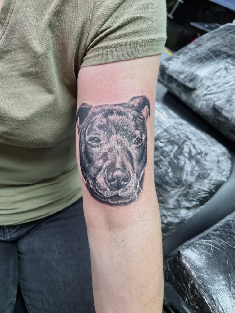 TierneyGBTattoo's tweet photo. 🐕 #tattooart #tattooartist https://t.co/WONuqzossZ