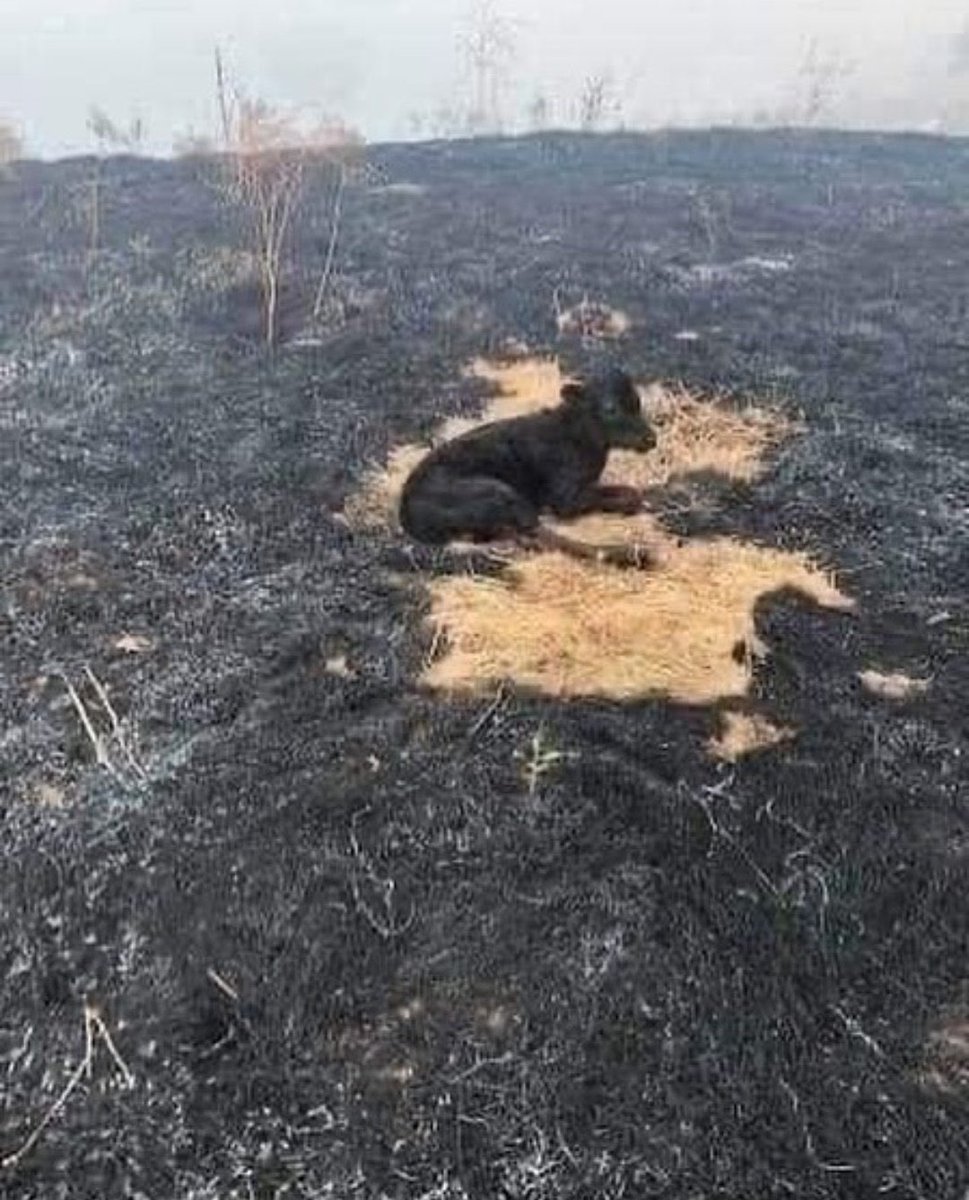 Hikmetinden sual olmaz Allah'ım.