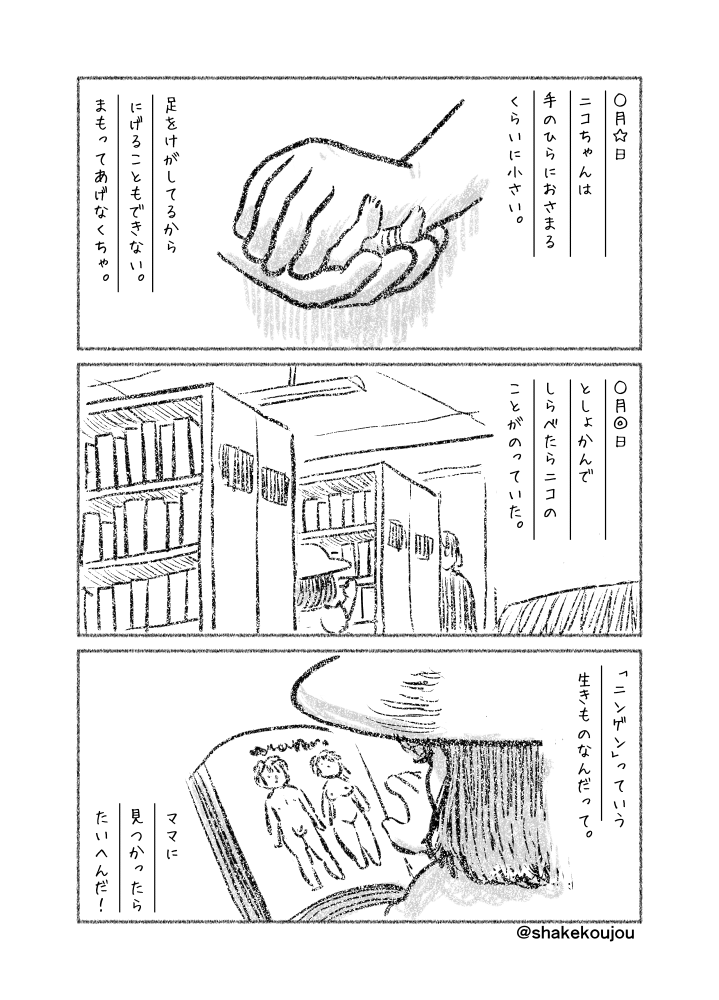 創作漫画「単眼少女の飼育日記」

#創作漫画 #単眼の日 #毎月1日は単眼の日 