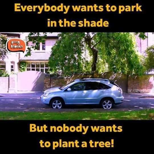 BS_Shd_Mian's tweet photo. Everybody wants the shadow so everybody should plant a tree.
#آؤ_شجرکاری_کریں
#MonsoonTreePlantation #10BillionTreeTsunami #Plant4Pakistan21
#Plant4Pakistan https://t.co/QHkKbPtCP6