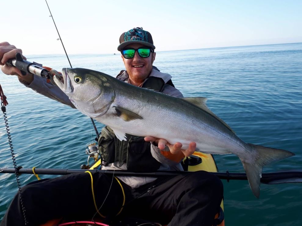 PlanetspinI's tweet photo. Laccio per pesci serra, amore o odio?

https://t.co/noOrRWICZQ

#serra #pesceserra #spinning #pesca #laccio https://t.co/KgIJR8PN5u