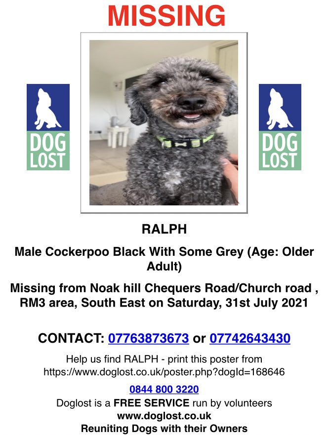 **STILL MISSING*** 

This is Ralph he’s just gone missing from my garden in Noak hill #Romford - he’s 10 years old and he’s microchipped.

Please contact me with any sightings, he’s so friendly!! doglost.co.uk/dog-blog.php?d…

#ScanMe #FernsLaw #MakeChipsCount #LostDog