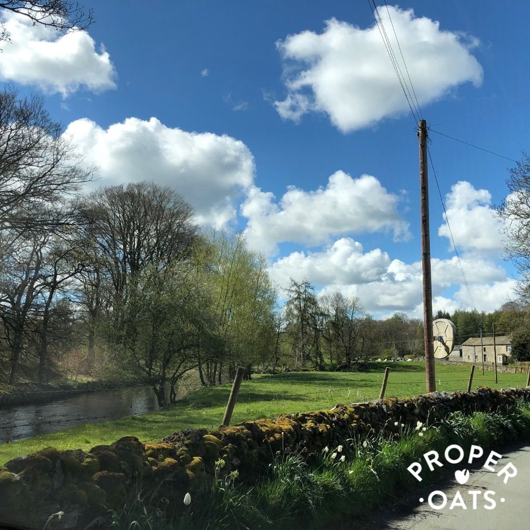 Happy Yorkshire Day!🐄❤️

Proper Oats was born in Yorkshire and we couldn’t be prouder.

We source all of our ingredients as locally as possible to ensure that only the best quality produce goes into Proper Oats Pots✨

#YorkshireDay