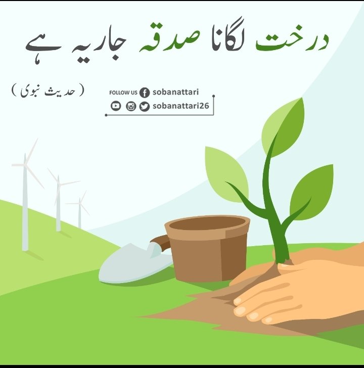 attari_hashmat's tweet photo. #1stofAugust #FGRF_Dawateislami 
#PlantationDay https://t.co/UJtG56B9E2