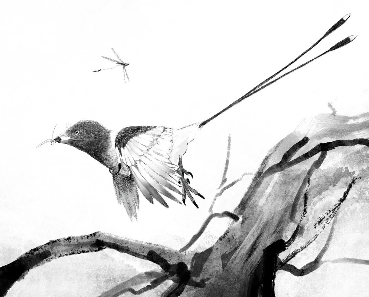 Twoucan Confuciusornis の注目ツイート イラスト マンガ Twoucan Confuciusornis の注目ツイート イラスト マンガ