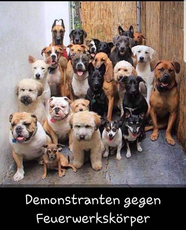 spaetsommer4's tweet photo. https://t.co/tYw7atqucG
