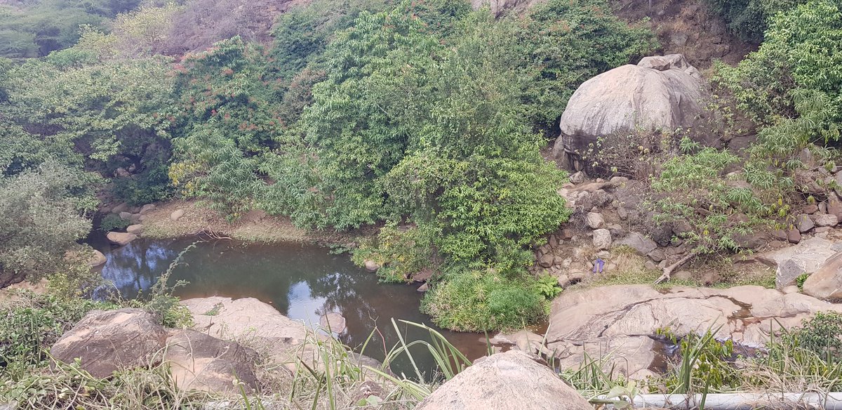 'No one will be able to stand against you all the days of your life. As I was with Moses, so I will be with you; I will never leave you nor forsake you. Be strong and courageous, because you will lead these people to inherit the land I swore to their ancestors to give them.'