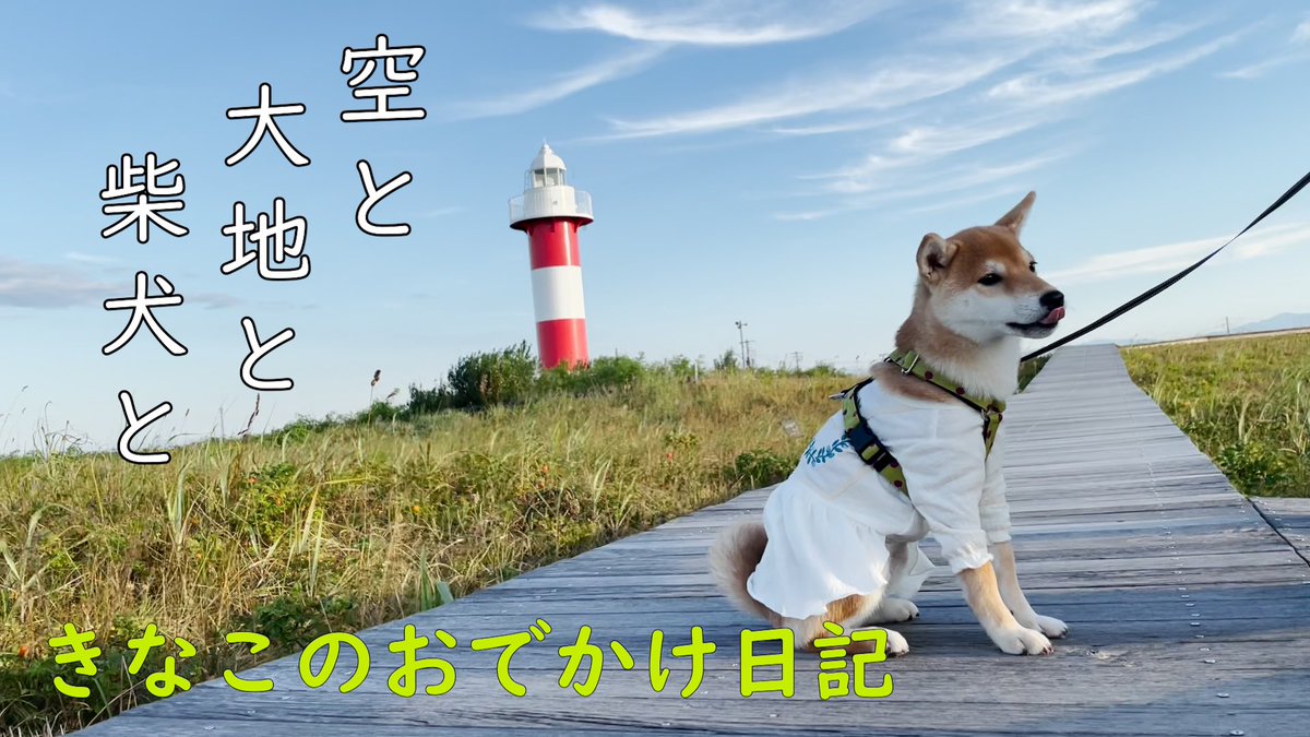 ハマナスの丘公園 ハマナスの丘公園