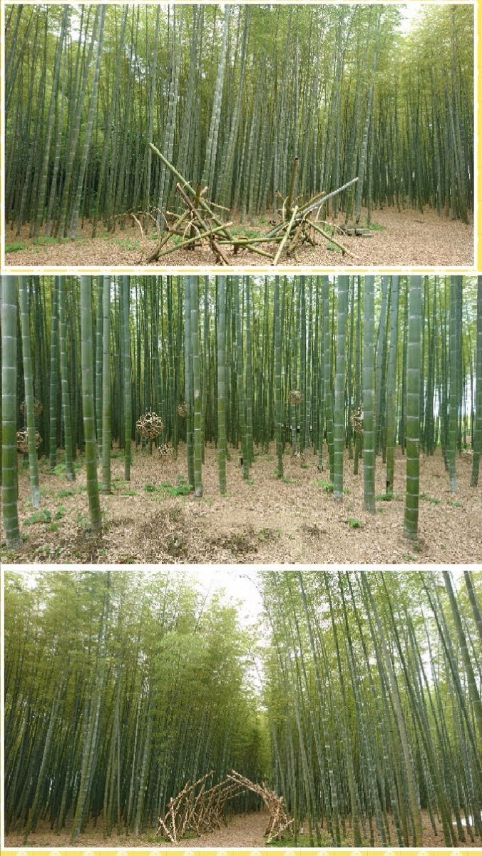 るろうに剣心 伝説の最期編 福山雅治 最新情報まとめ みんなの評価 レビューが見れる ナウティスモーション