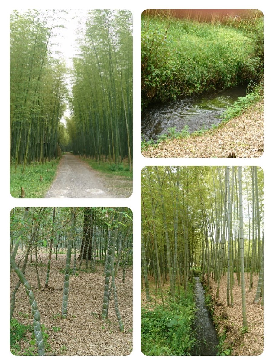 るろうに剣心 伝説の最期編 福山雅治 最新情報まとめ みんなの評価 レビューが見れる ナウティスモーション