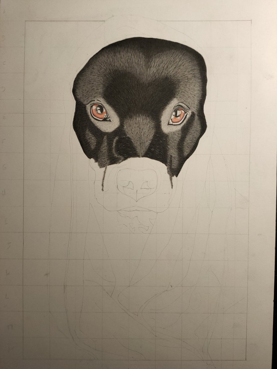 Passion_Zoe's tweet photo. Work in progress. Plus de 30 heures de travail et c'est loin d'être fini 😶
#dessin #draw #drawing #drawingart #artoftheday #dessindujour #pencildrawing #artist #visualart #visualartist #visualsoflife #draws #instadraw #pencil #pencilart #coloredpencil #dog #doglover https://t.co/eDBumi4g7k